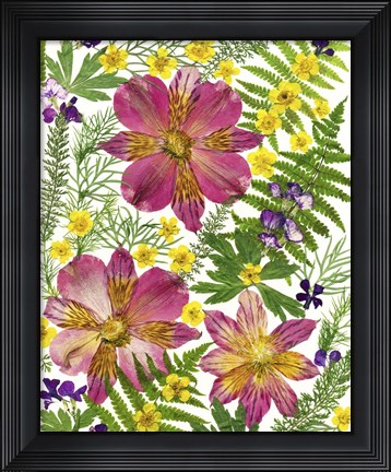 Framed Dried Flowers 45 Print