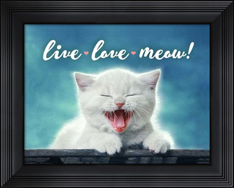 Framed Live Love Meow Print