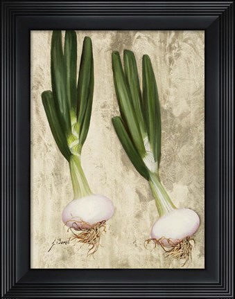 Framed Cipollotti Print