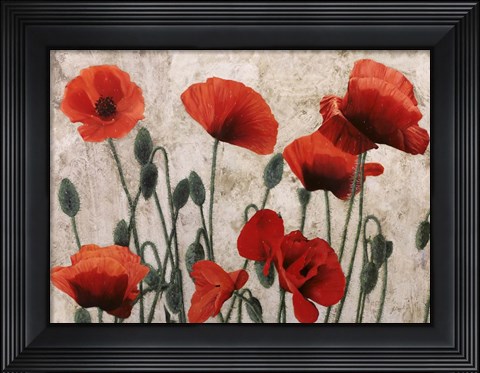 Framed Sette Papaveri - Tanti Papaveri Print