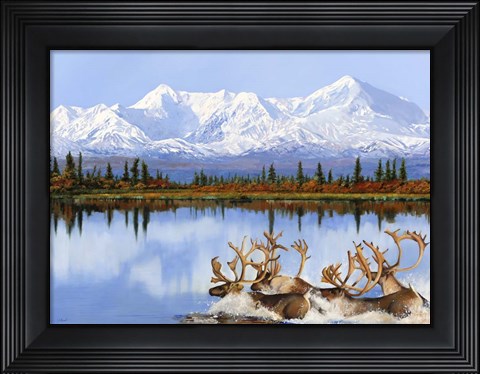 Framed Mount Denili E I Caribou Print