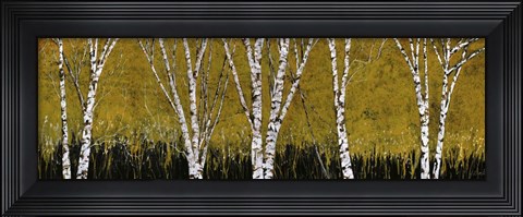 Framed Betulle A Sfondo Giallo Print