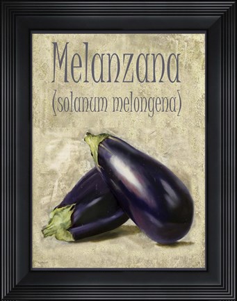 Framed Melanzana Solanum Melongena Print