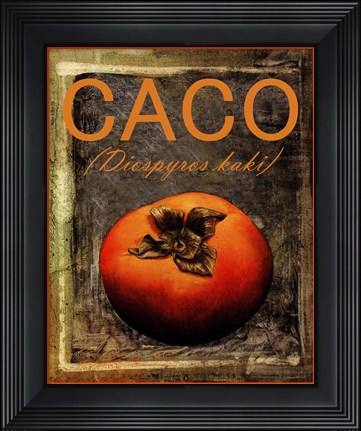 Framed Diospyros Kaki Print
