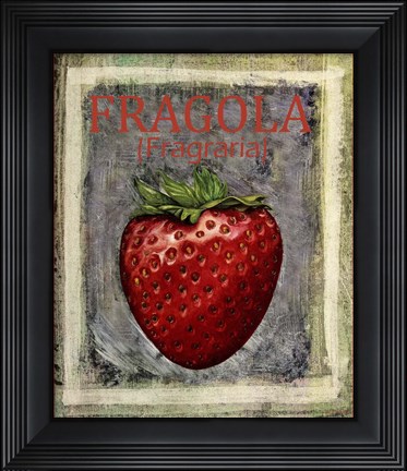Framed Fragola Fragraria Print