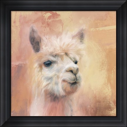 Framed Charismatic Alpaca Print