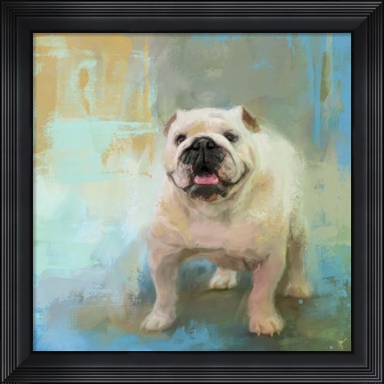 Framed White English Bulldog Print
