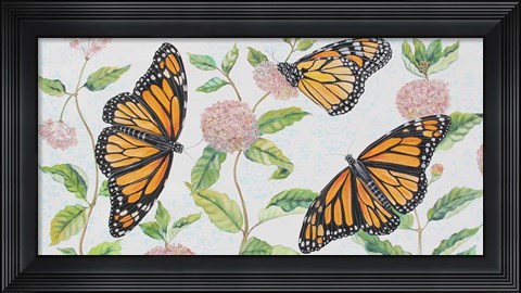 Framed Monarch Majesty Print