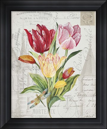 Framed Bouquet Francais E Print