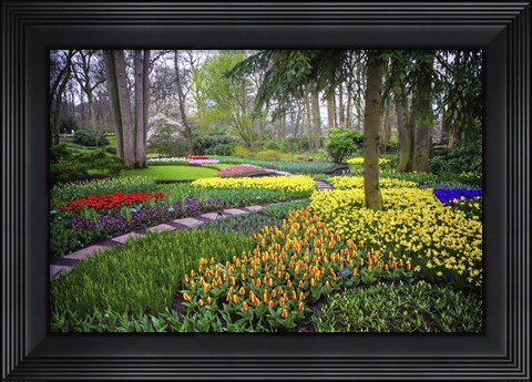 Framed Colorful Corner Keukenhof Tulips Garden 4 Print