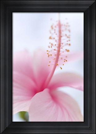Framed Invitation Into the Light Print