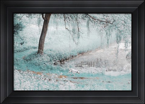 Framed Pond Under the Shadow Willow Print