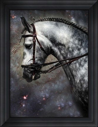 Framed Horse Among the Stars Print