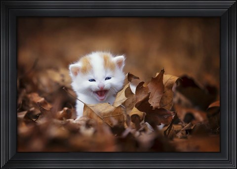Framed Crying In The Leaves Print