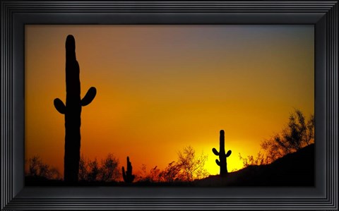 Framed Desert Sunset Print