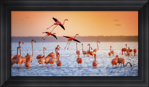 Framed Flamingo Flight Print