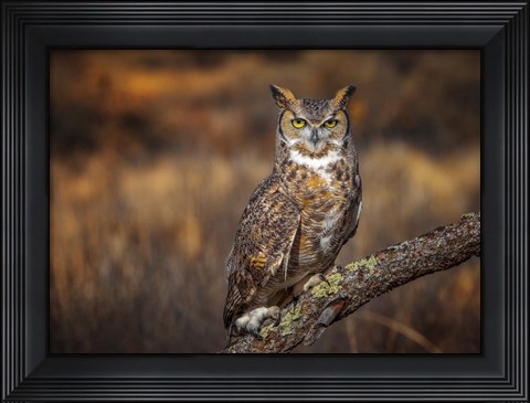 Framed Look Who&#39;s There Print
