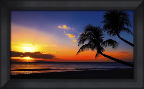 Framed Palm Trees Sunset Print