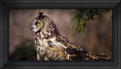 Framed Take Flight Print