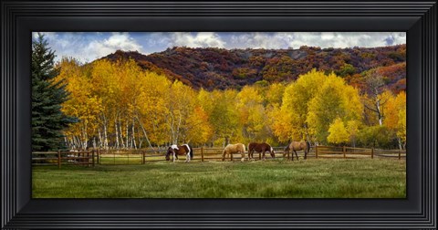 Framed Colorado Farm Print