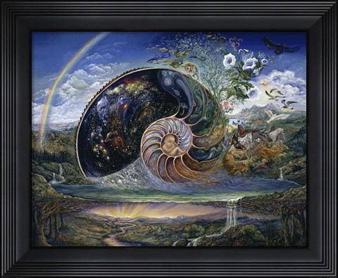 Framed Nautilus Print