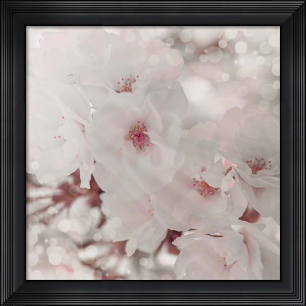 Framed Pinky Blossom 1 Print
