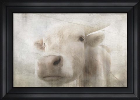 Framed Antique Farm 18 Print