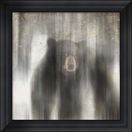 Framed Antique Wildlife bear Print