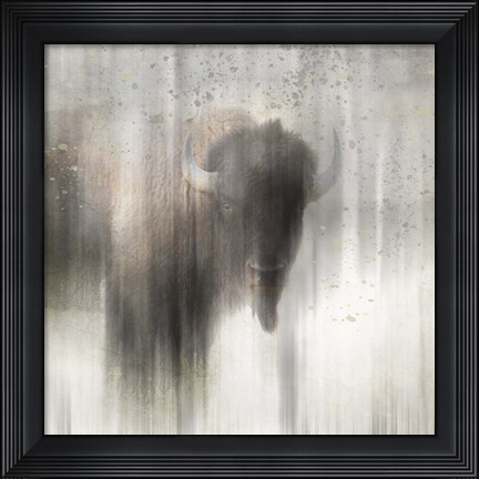 Framed Antique Wildlife Buffalo Print