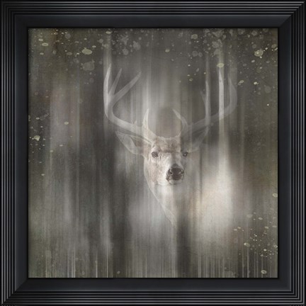 Framed Antique Wildlife Deer 02 Print