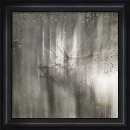 Framed Antique Wildlife Elk Print