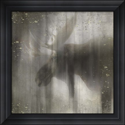 Framed Antique Wildlife Moose Print