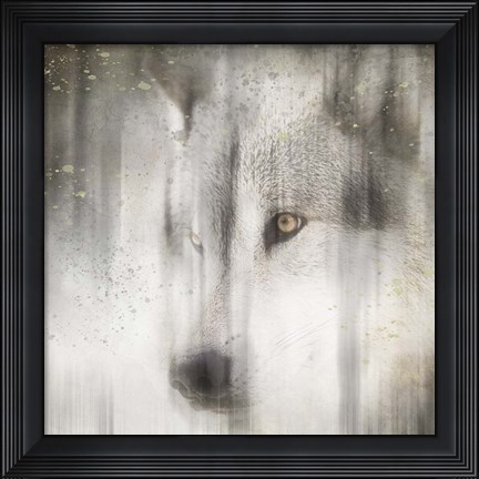 Framed Antique Wildlife Wolf Print