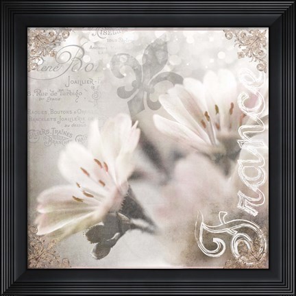 Framed Paris 02 Print