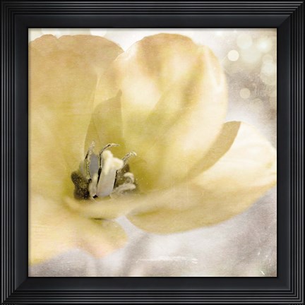 Framed Yellow Tulip 01 Print