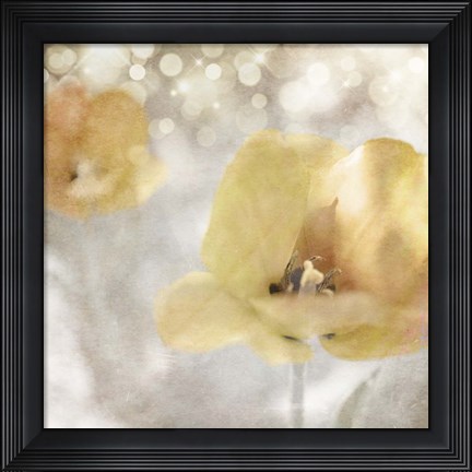 Framed Yellow Tulip 02 Print