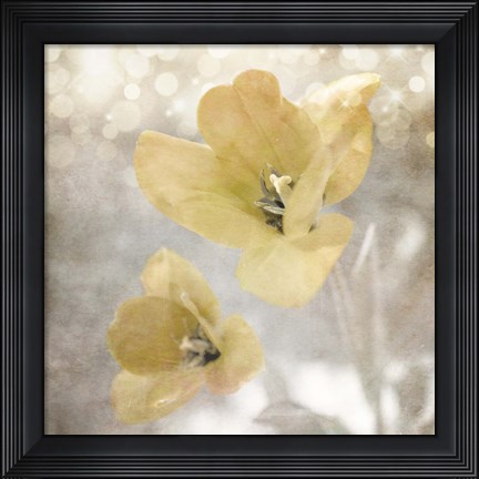 Framed Yellow Tulip 03 Print