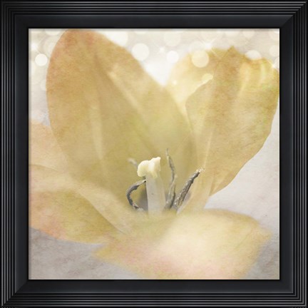 Framed Yellow Tulip 04 Print