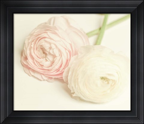 Framed Peony A3 Print