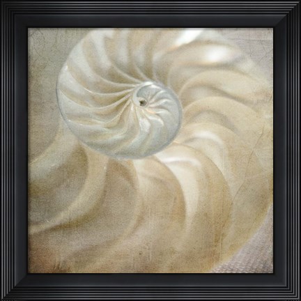 Framed Under the Sea 01 Print