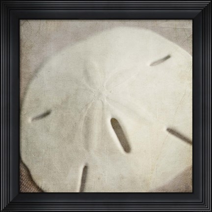 Framed Under the Sea 02 Print