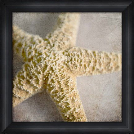 Framed Under the Sea 03 Print