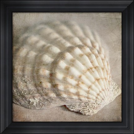 Framed Under the Sea 04 Print