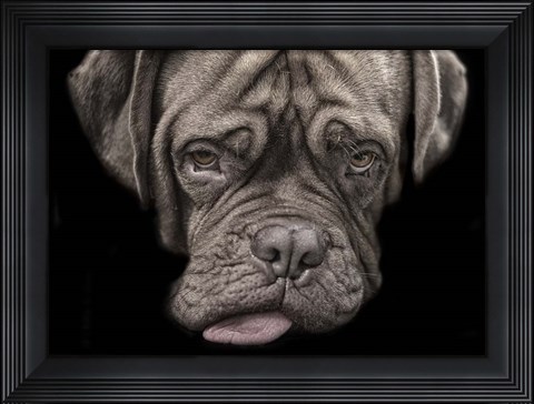 Framed Say What Print
