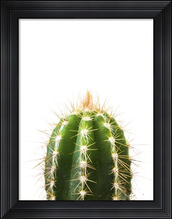 Framed Cactus Print
