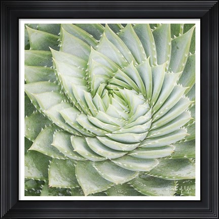 Framed Spiral of Life Print