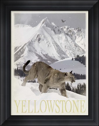 Framed Mountain Lion Print