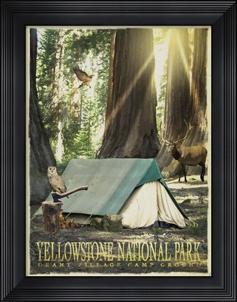 Framed Redwood Camping Print