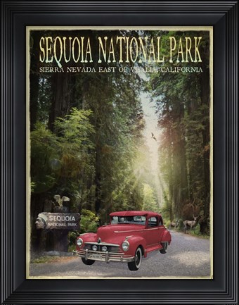 Framed Sequioa National Park Print