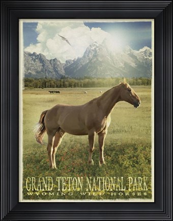 Framed Wild Horse Print